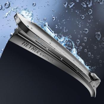 HEYNER 022000