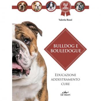 Bulldog e bouledogue: Educazione