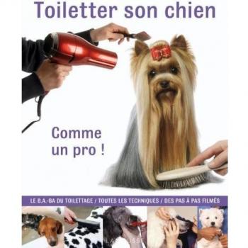 Peter Young Toiletter Son Chien : Comme Un Pro !