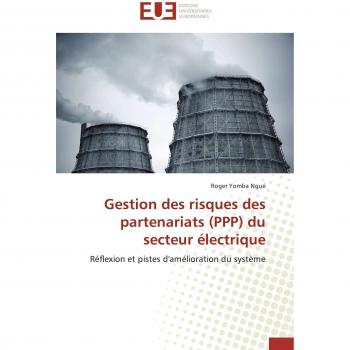 Gestion des risques des partenariats