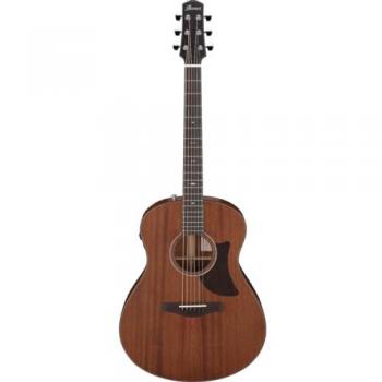 Ibanez AAM740E-LG Naturel Collection Platine guitare électro-acoustique folk