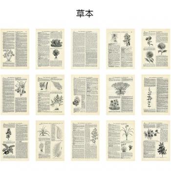 Vintage Journal Paper Collection: Antique Pages for Creative DIY