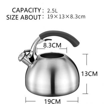304 Stainless Steel Tea Kettle with Whistle 2.5L