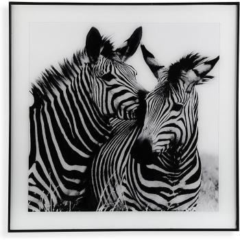 Zebra‑Kristallfoto 2 × 50 × 50 cm
