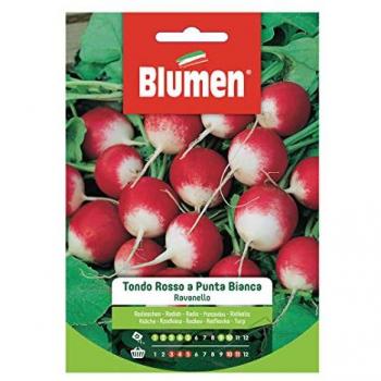 Blumen