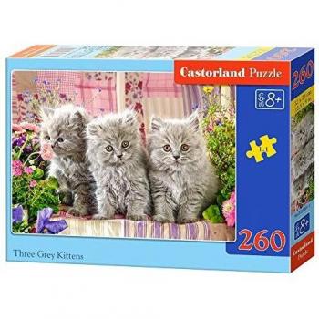 Tre gråa kattungar