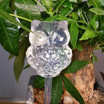 Bouteilles d'arrosage goutte-à-goutte