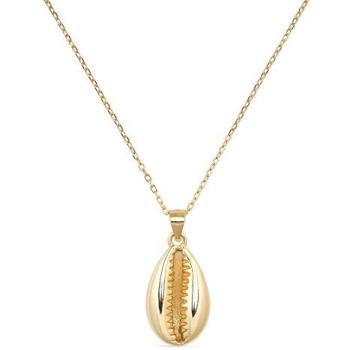 Elk & Bloom 14K Gold Cowrie Clam Locket