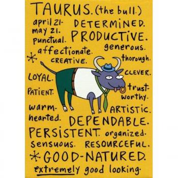 Stellar Taurus Fridge Decor