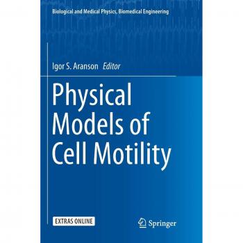 Physical Models of Cell Motility