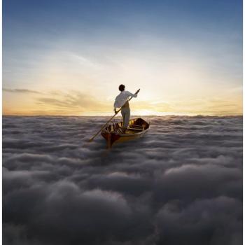 The Endless River [Vinyl LP]