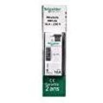 Minuterie 1 contact 16A250VCA Réglage par molette Schneider Electric