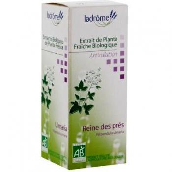 Ladrome Reine des prés Bio, Extrait de Plantes Fraîches