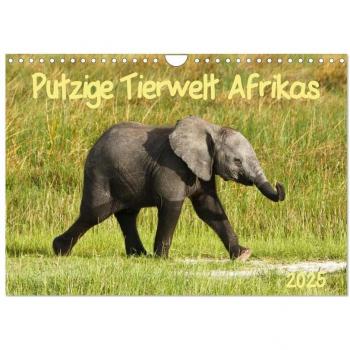Putzige Tierwelt Afrikas (Wandkalender 2025 DIN A4 quer) CALVENDO Monatskalender