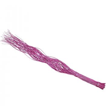 Steingaesser 12078 03 6700 Curly Willow