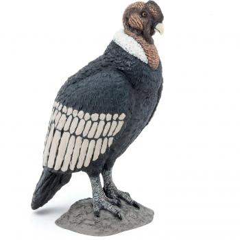 PAPO Condor 50293