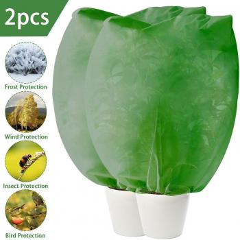 Capa Protectora Invierno Verde