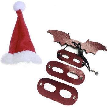 Eidechsen-Weihnachtsoutfit