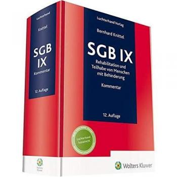 SGB IX