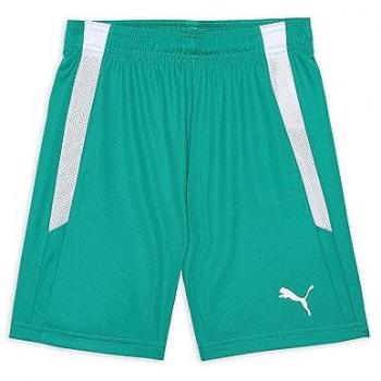 Short Puma Team Liga Enfant 8 Ans – Blanc