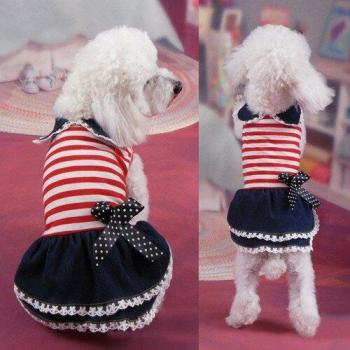 Tútu para perrito con estilo