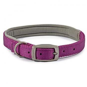 Viva Waterproof Padded Dog Collar