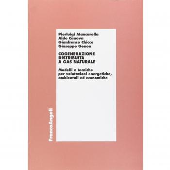 Cogenerazione distribuita a gas naturale. Modelli e tecniche per valutazioni energetiche, ambientali ed economiche