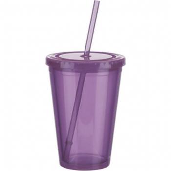 Transparent Fruit Infuser Tumbler