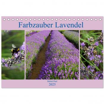 Farbzauber Lavendel (Tischkalender 2025 DIN A5 quer) CALVENDO Monatskalender