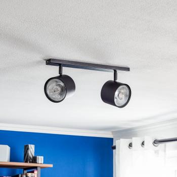 ALDEX Bot Black Ceiling Lamp, Two-Bulb