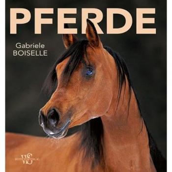 Pferde