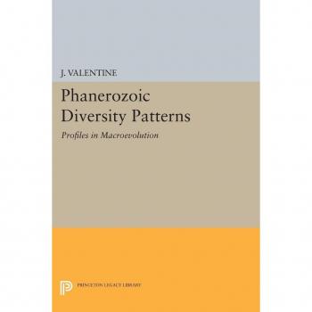 Phanerozoic Diversity Patterns