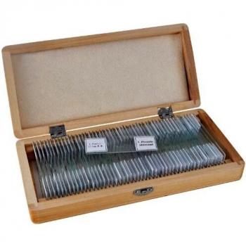 BRESSER Preparaciones permanentes 50 piezas/caja