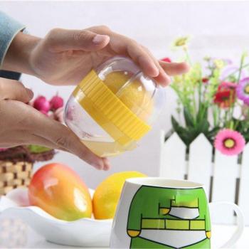 Mini extracteur de jus