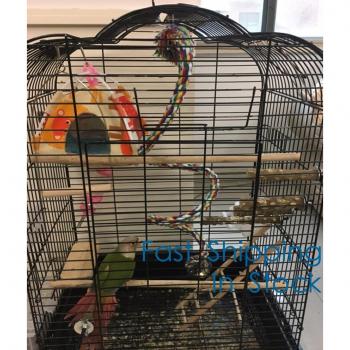 Exquisite Bird Toy Hanging Rope