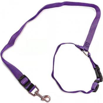 Dual-purpose Dog Hauling Rope