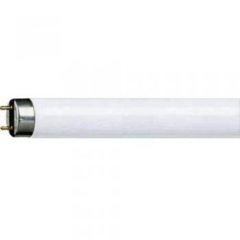 X Philips 9279238840 Master 6ft (70w) T8 Fluorescent Tube 840 4000K Cool White