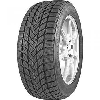 MASTERSTEEL WINTER 225/50R17 98H