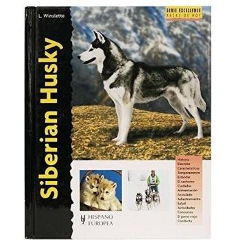 Siberian Husky (Excellence)
