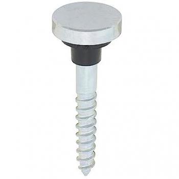 TIMCO Zinc-Plated Chrome Mirror Screws