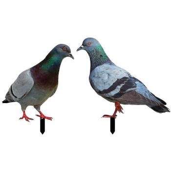 Pigeons Décoratifs en Acrylique pour Jardin