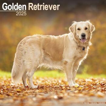 Brown Trout-Auslieferer Flechsig Golden Retriever 2025