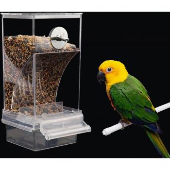Wild Bird Feeding Bowl for Parakeets