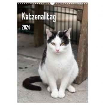 Katzenalltag 2024 Wandkalender DIN A3 hoch
