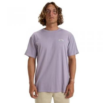 Billabong Arch Short Sleeve T-Shirt