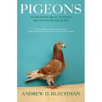Pigeons : The Fascinating Saga of the World's Most Revered and Reviled Bird
