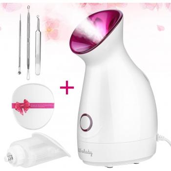 Steamer Visage Humidificateur