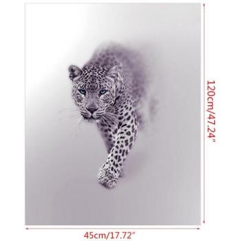 Autocollant de fenêtre sombre