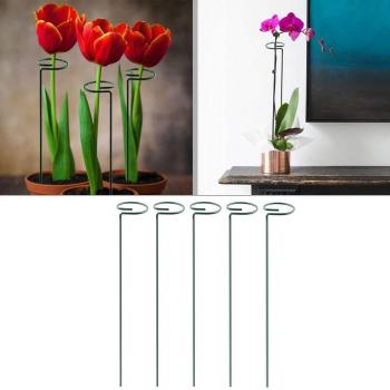 Backyard Garden Tool
