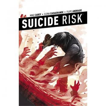 Suicide Risk Vol. 4 (Paperback)